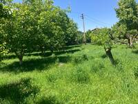 Natur bei Edschmiadsin