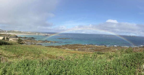 Donegal